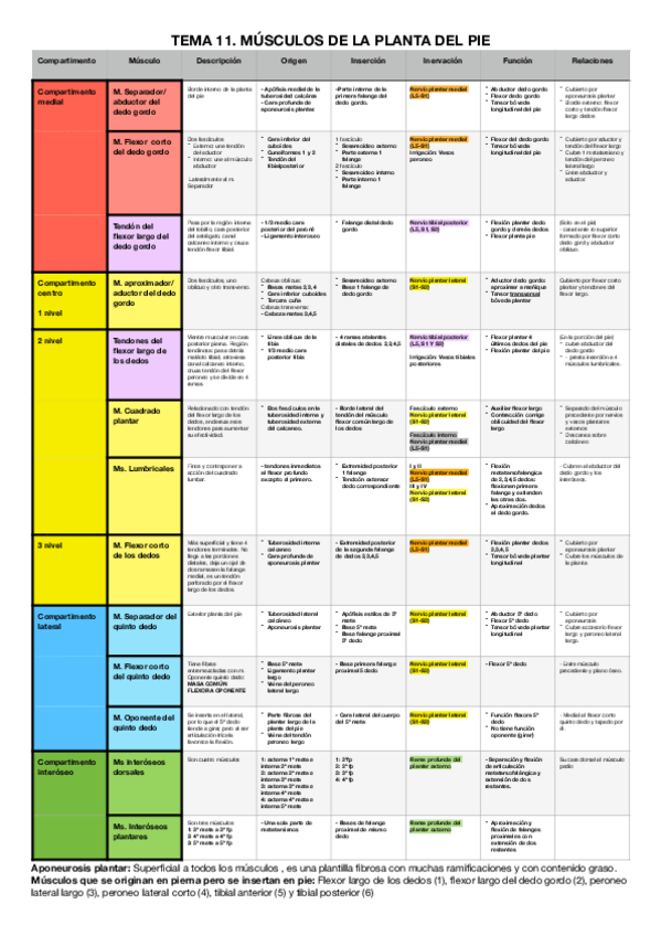 Miniatura del documento Extremidad-inferior.pdf