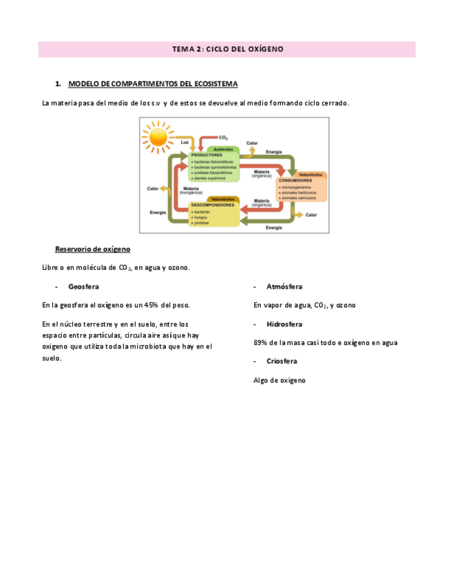 Miniatura del documento TEMA-2-real.pdf