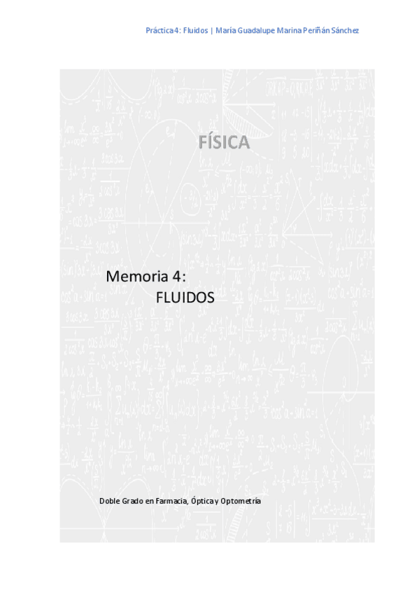 Miniatura del documento Memoria4FLUIDOS.pdf