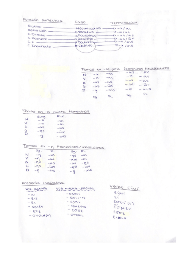 Miniatura del documento Primera-y-segunda-declinacion-y-articulos.pdf