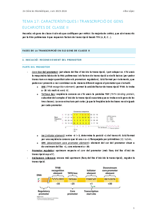 Miniatura del documento Tema-17.-Caracteristiques-i-transcripcio-en-gens-eucariotes-de-classe-II.pdf