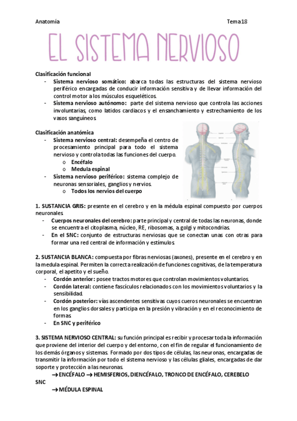 Miniatura del documento sistema-nervioso.pdf