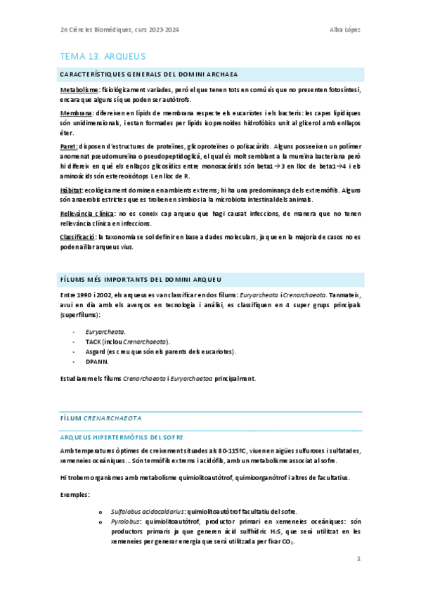 Miniatura del documento Tema-13.-Arqueus.pdf
