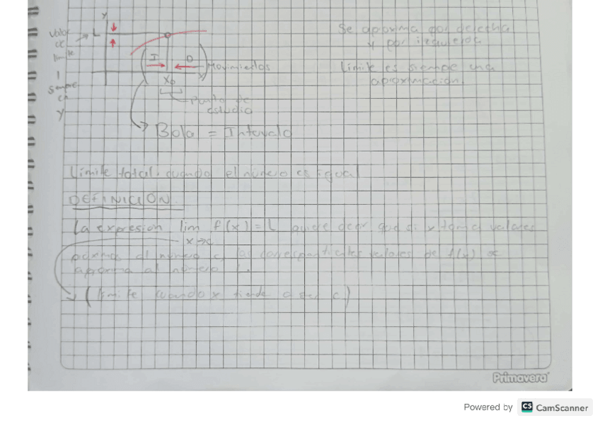 Miniatura del documento LIMITES.pdf