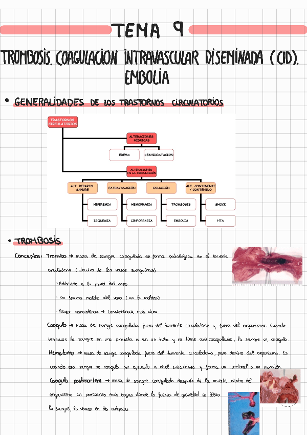 Miniatura del documento TEMA-9-ANATOMIA-PATOLOGICA.pdf
