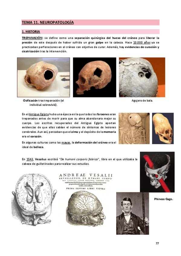 Miniatura del documento 11. Neuropatología.pdf