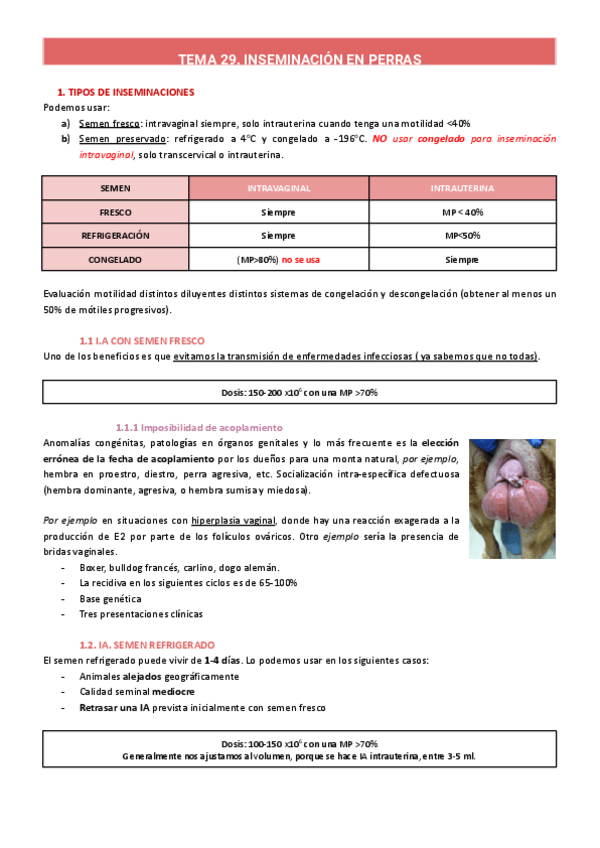 Miniatura del documento TEMA-29-30-perros.pdf