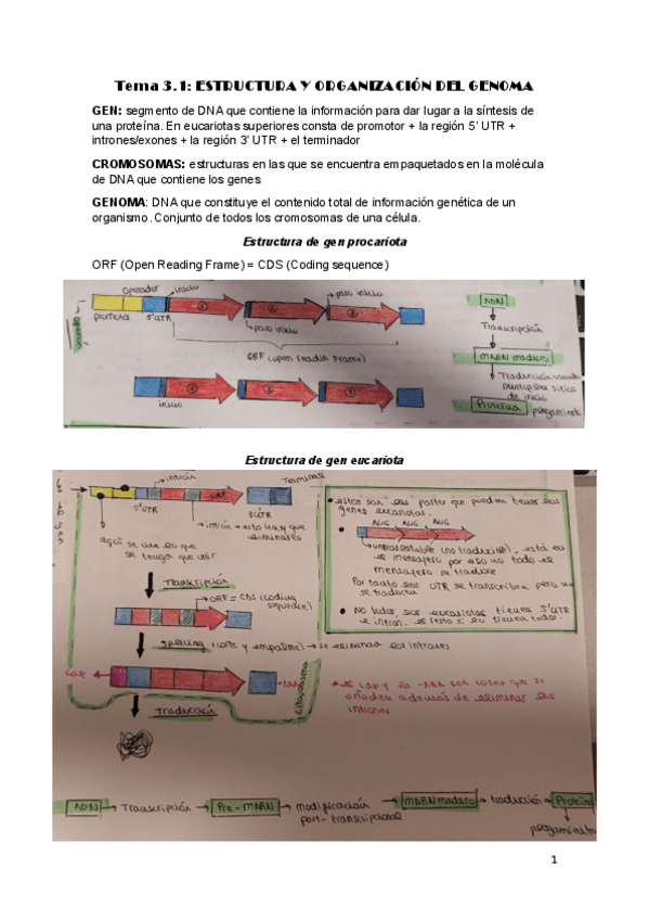 Miniatura del documento Tema-3.1.pdf