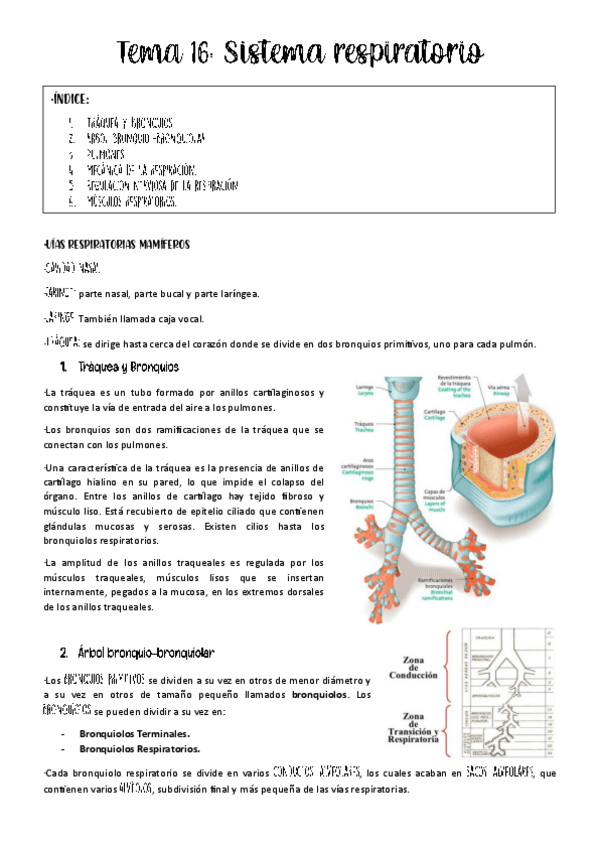 Miniatura del documento tema-16-fisio-animal.pdf