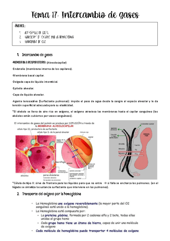 Miniatura del documento tema-17-fisio-animal.pdf