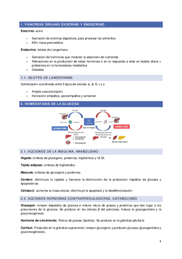Miniatura del documento Seminario-pancreas.pdf