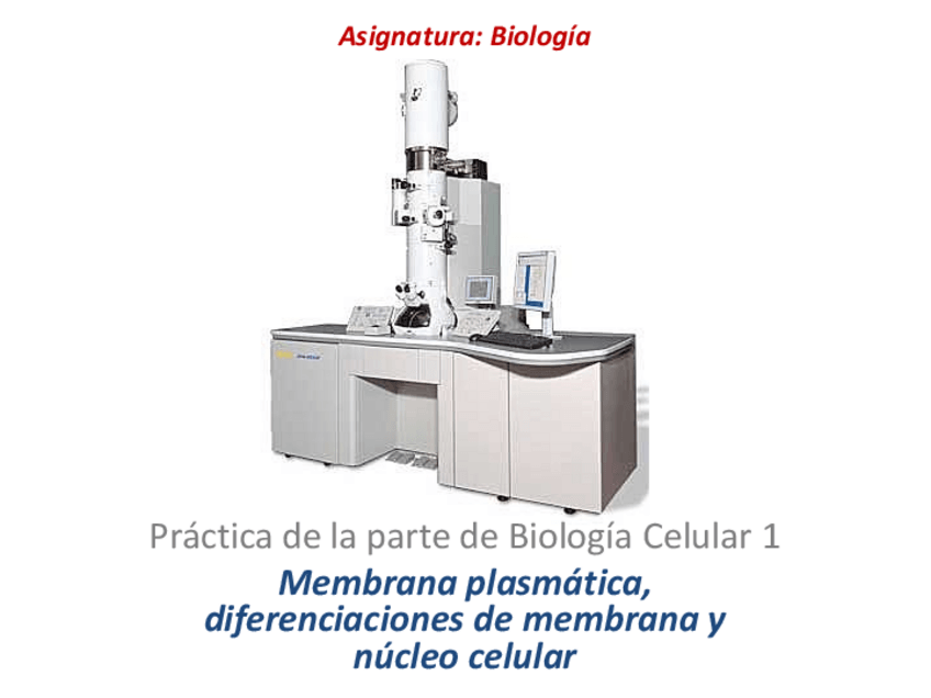 Miniatura del documento Practicas-CELULAR-COMPLETO.pdf