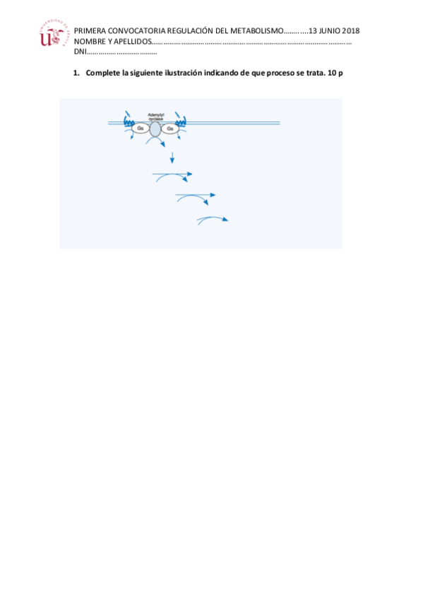 Miniatura del documento 2018_PRIMERA_CONVOCATORIA.pdf