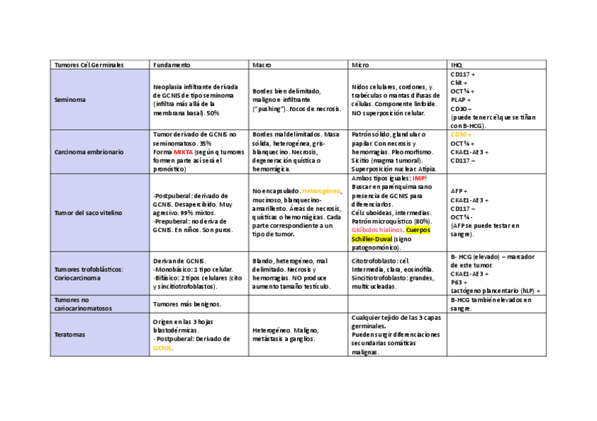 Miniatura del documento Mini-resumen-Testiculo-tumoral.pdf