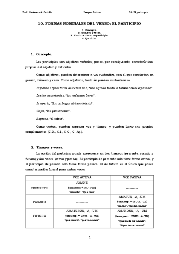 Miniatura del documento 10.-Formas-nominales-del-verbo.-El-participio.pdf