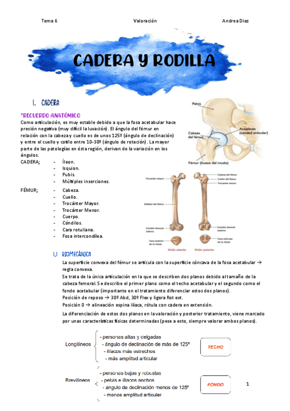 Miniatura del documento TEMA-6-Cadera-y-Rodilla.pdf