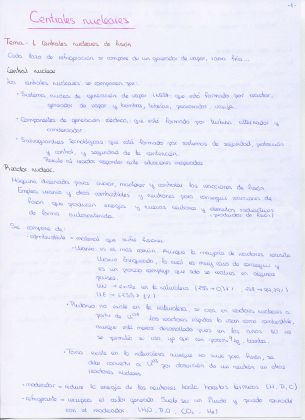Miniatura del documento CentralesNucleares.pdf
