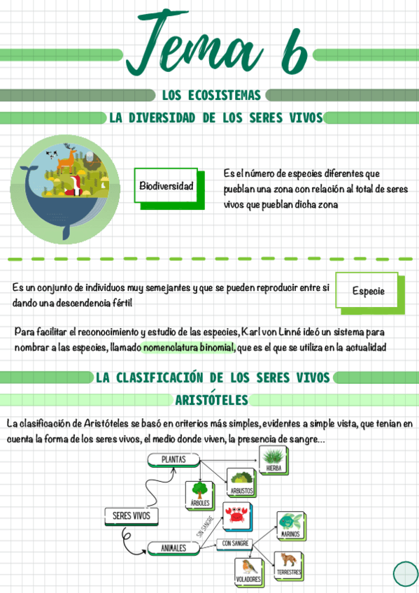 Miniatura del documento Tema-6.pdf