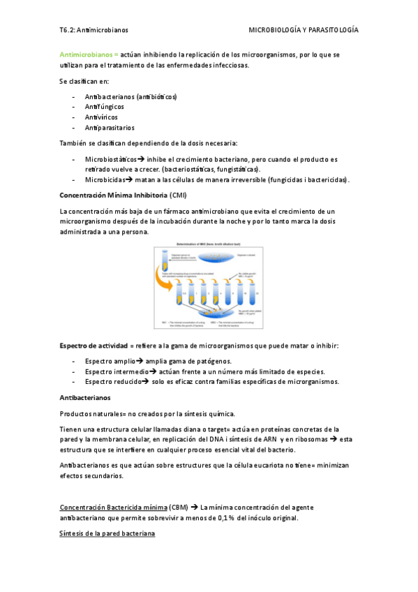 Miniatura del documento T6.2-Antimicrobianos.pdf