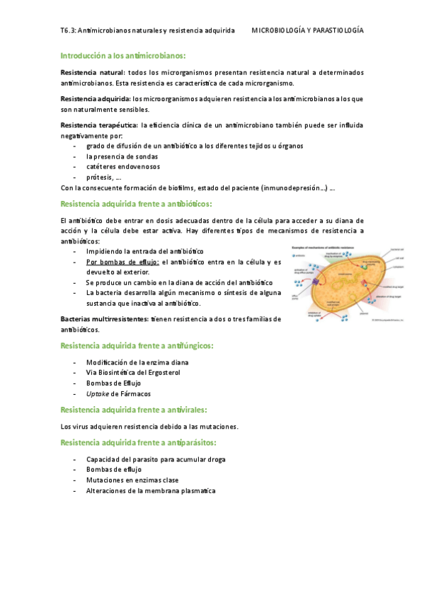 Miniatura del documento T6.3-antimicrobianos-naturales-y-resistencia-adquirida.pdf