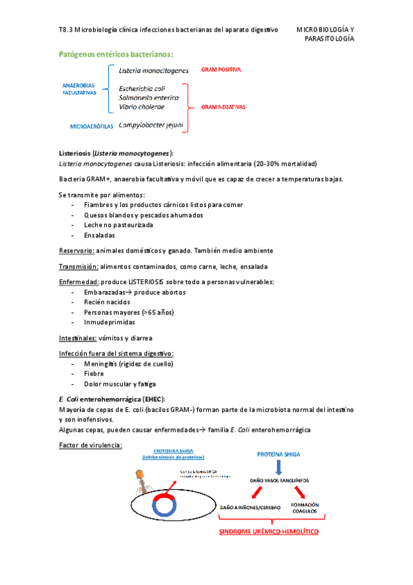 Miniatura del documento T8.3-Microbiologia-clinica-infecciones-bacterianas-del-aparato-digestivo.pdf