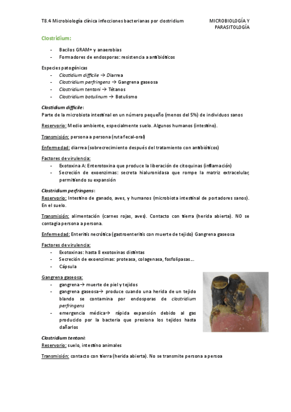 Miniatura del documento T8.4-Microbiologia-clinica-infecciones-bacterianas-por-clostridium.pdf