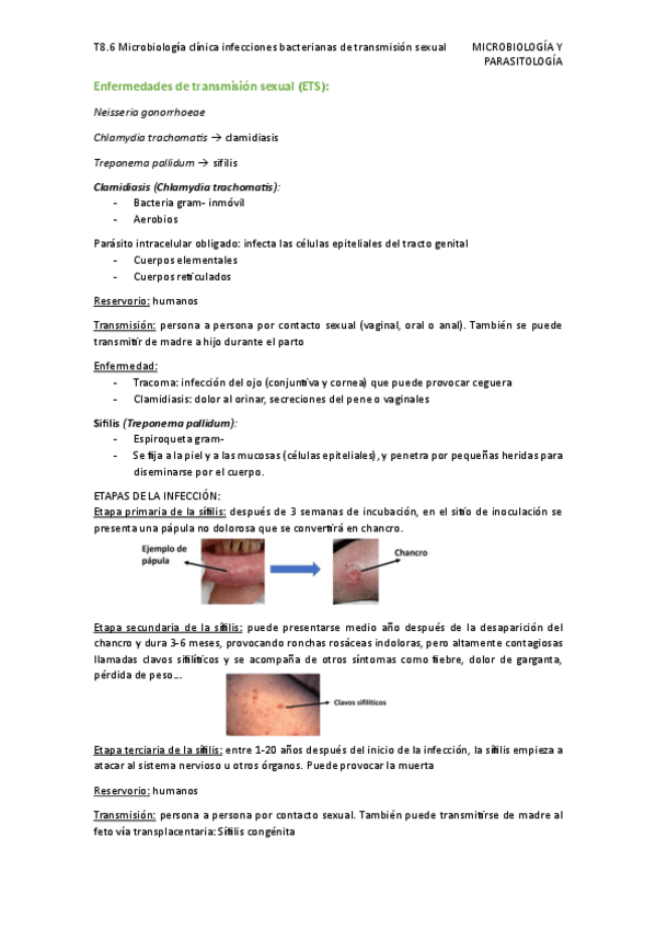 Miniatura del documento T8.6-Microbiologia-clinica-infecciones-bacterianas-de-transmision-sexual.pdf