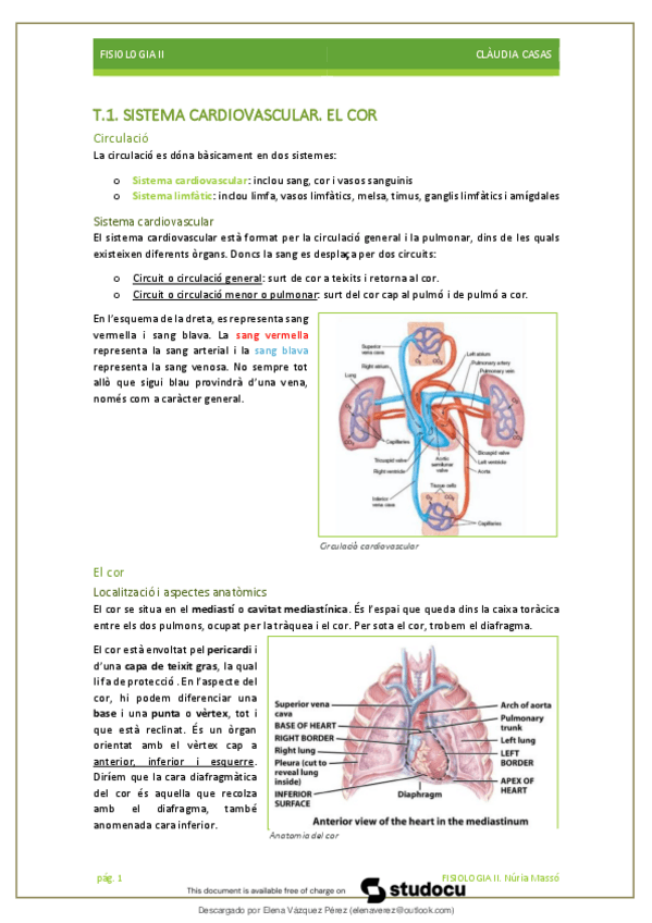 Miniatura del documento Apuntes-de-fisiologia-II-tot.pdf