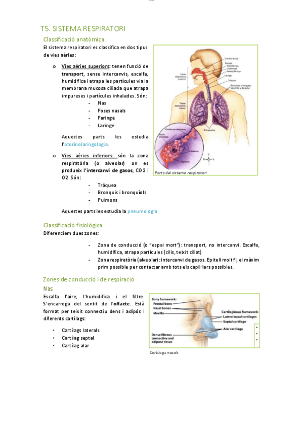 Miniatura del documento T5.-Sistema-respiratori.pdf
