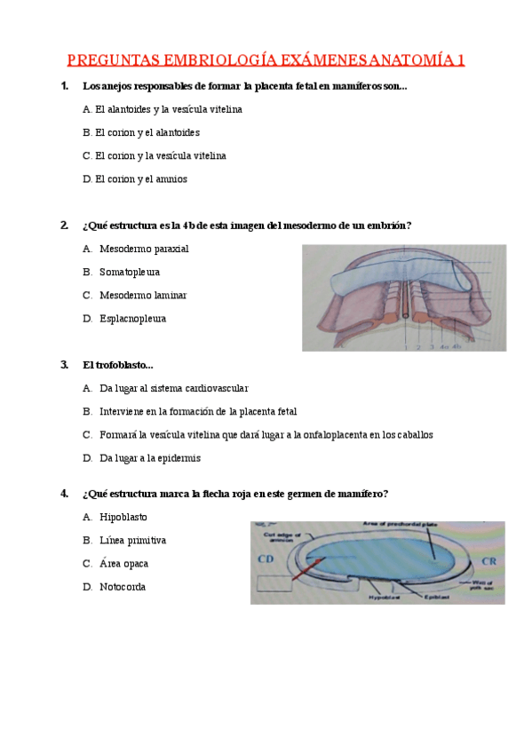 Miniatura del documento PREGUNTAS-EMBRIOLOGIA-EXAMENES-ANATOMIA-1.pdf