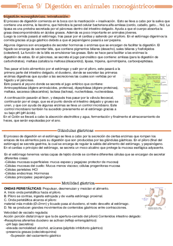 Miniatura del documento Tema-9.pdf