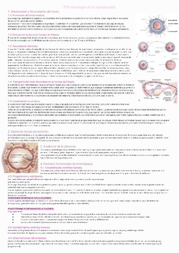 Miniatura del documento T23-Fisiologia-de-la-reproduccion231118112759.pdf