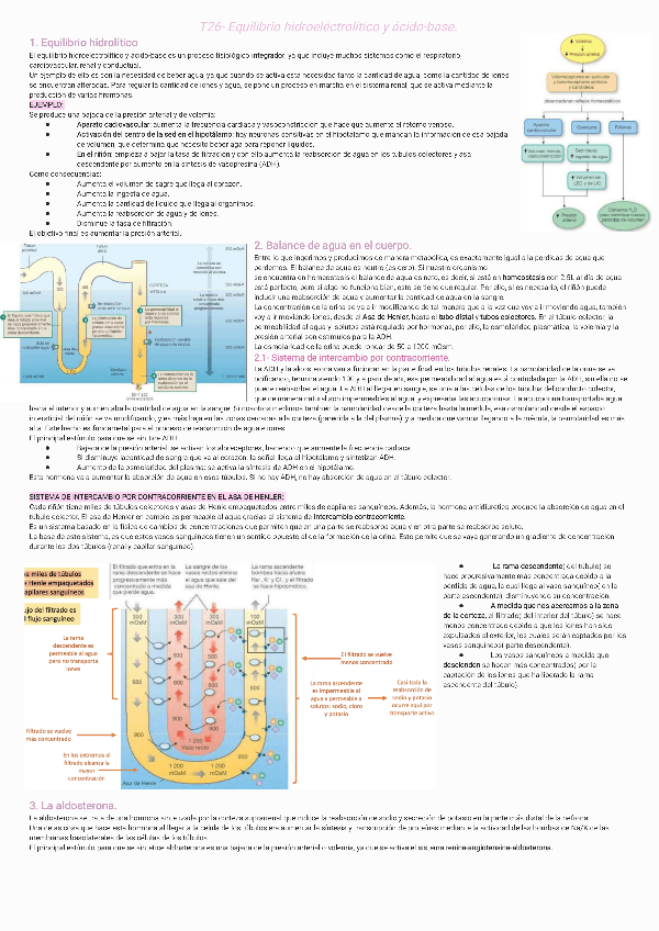 Miniatura del documento T26-Equilibrio-hidroelectrolitico-y-acido-base231120215814.pdf