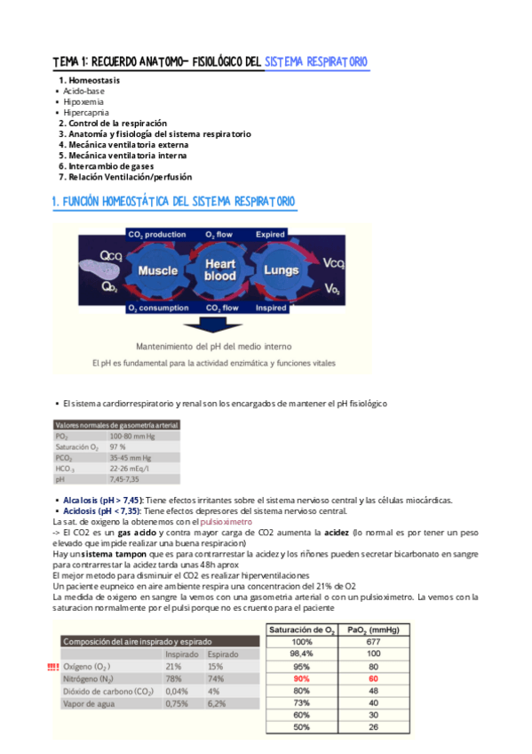 Miniatura del documento TEMA-1-RECUERDO-ANATOMO-FISIOLOGICO-DEL-SISTEMA-RESPIRATORIO.pdf