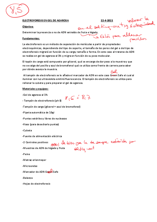 Miniatura del documento ELECTROFORESIS-GEL-AGAROSA-CORREGIDO.pdf