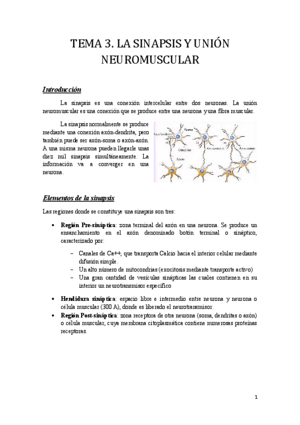 Miniatura del documento Tema 3.pdf