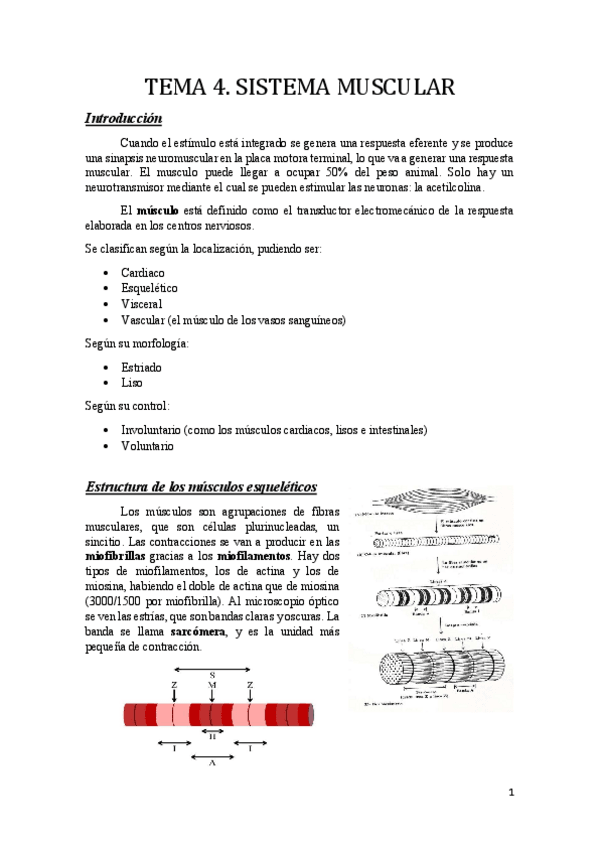 Miniatura del documento Tema 4.pdf