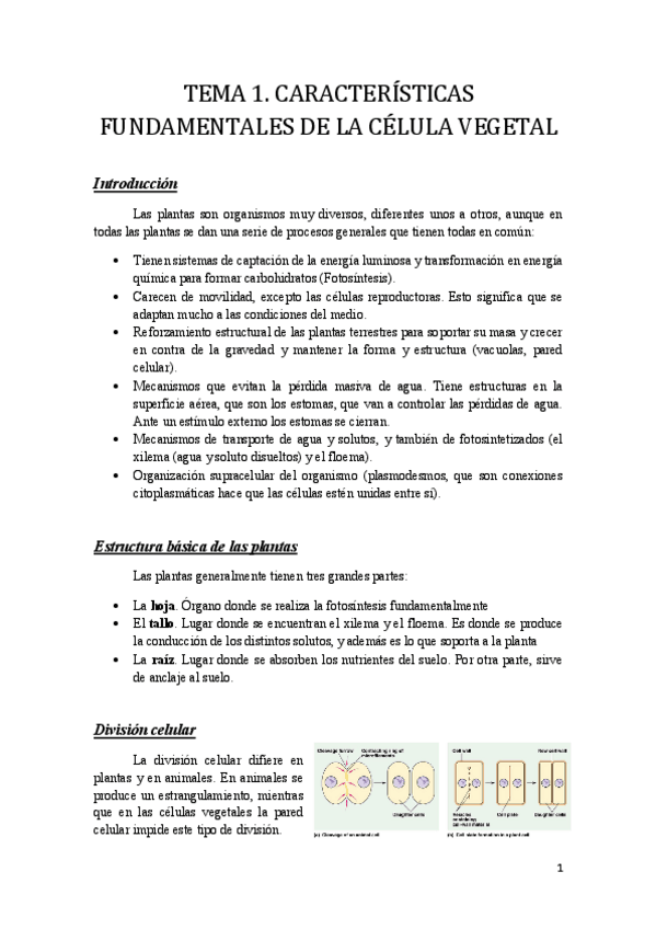 Miniatura del documento Tema 1.pdf