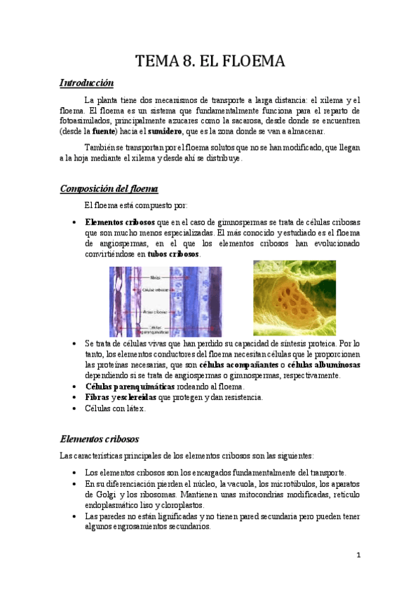 Miniatura del documento Tema 8.pdf