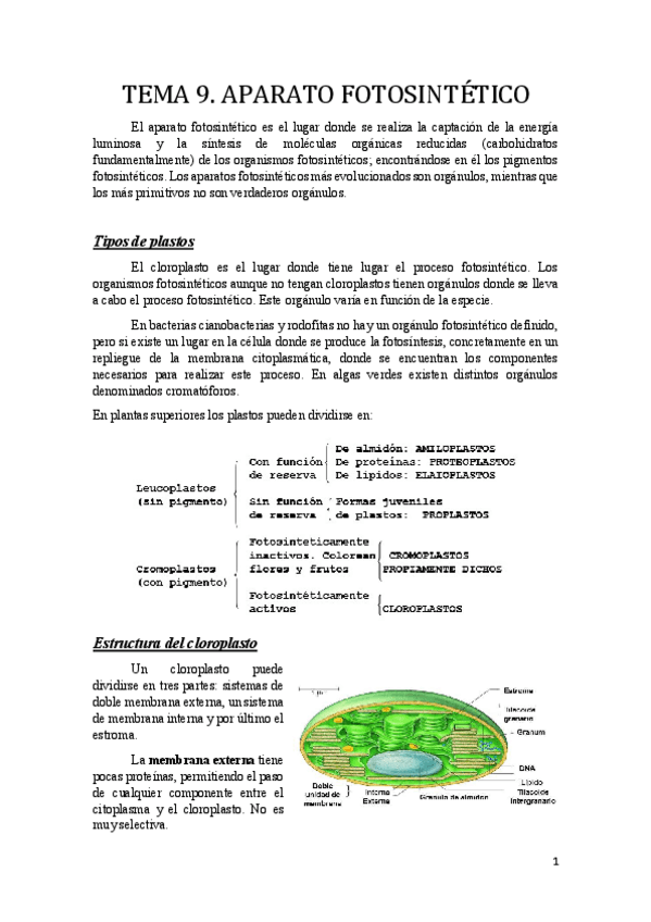 Miniatura del documento Tema 9.pdf