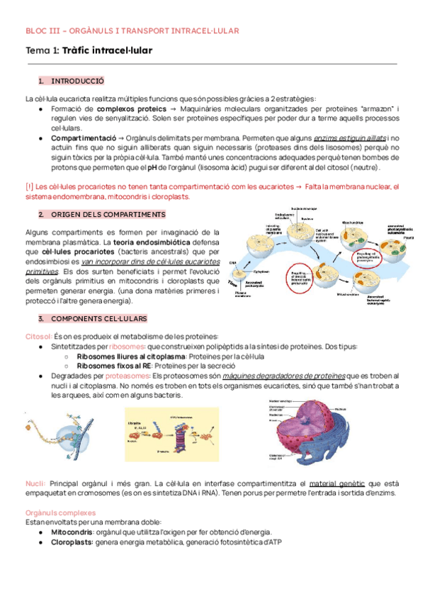 Miniatura del documento BIOCEL APUNTS TOT-2022-2023.pdf