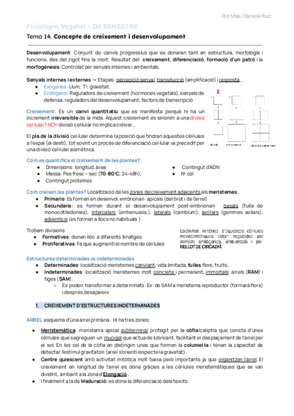 Miniatura del documento FISIOLOGIA VEGETAL APUNTS MATINS 2022/2023.pdf