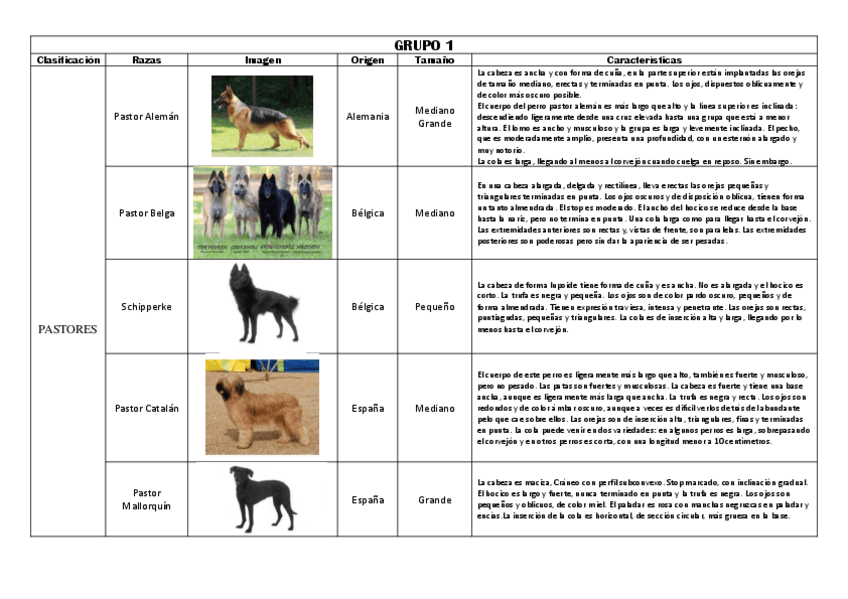 Miniatura del documento Etnologia-Comparada-Perros.pdf