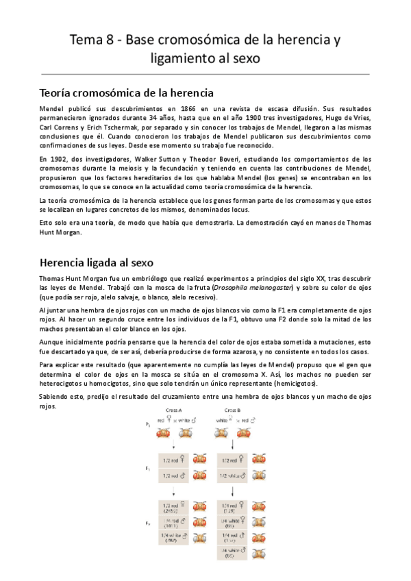 Miniatura del documento Tema-8-Base-cromosomica-de-la-herencia-y-ligamiento-al-sexo.pdf