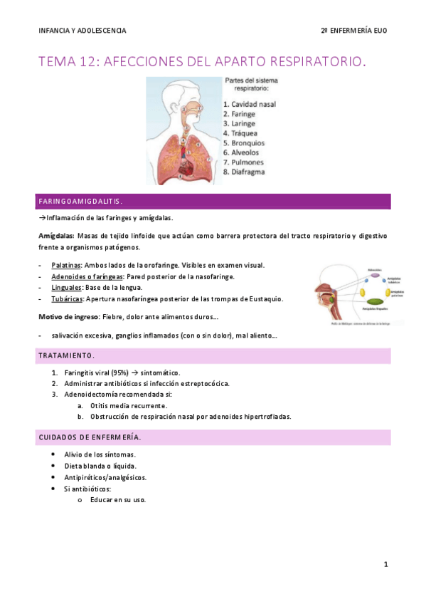 Miniatura del documento Tema-12-Infancia-y-adolescencia.pdf
