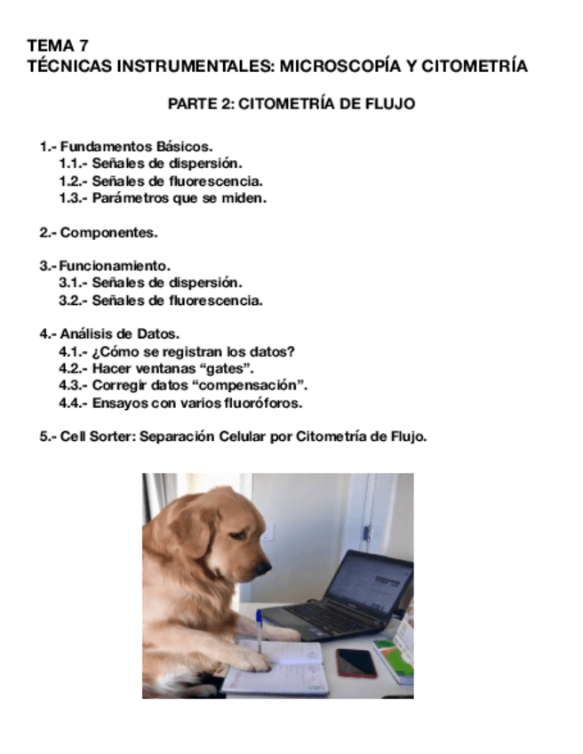 Miniatura del documento Tema-7.2-CULT.pdf