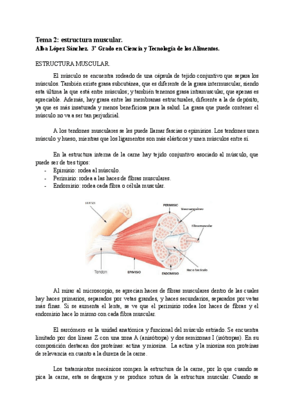 Miniatura del documento AT02-ESTRUCTURA-MUSCULAR.pdf
