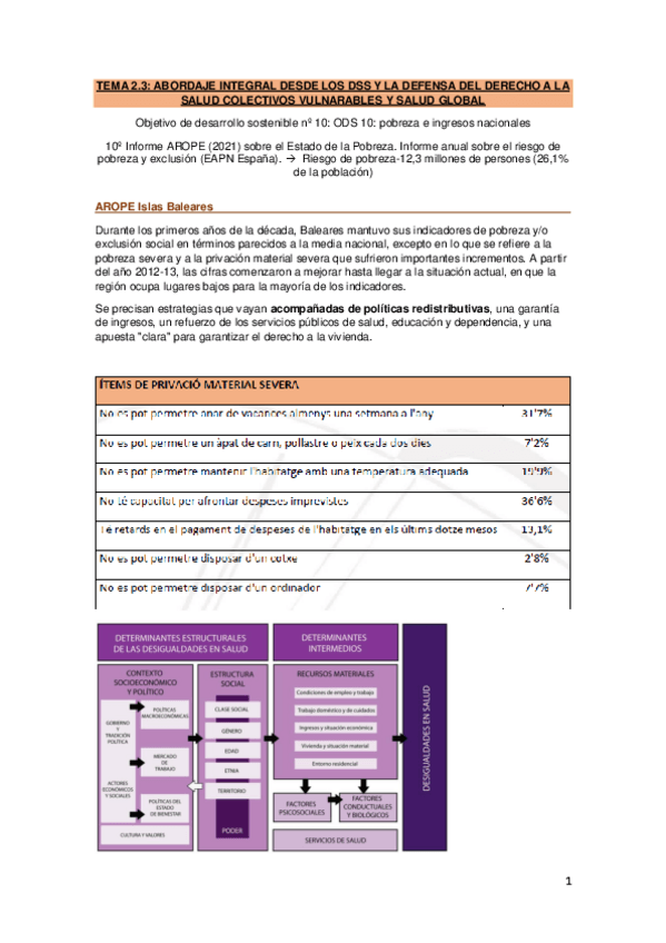 Miniatura del documento Tema-2.3-Salud-Global.pdf
