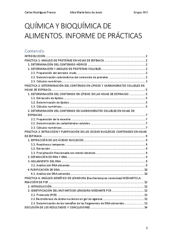 Miniatura del documento Prácticas.pdf