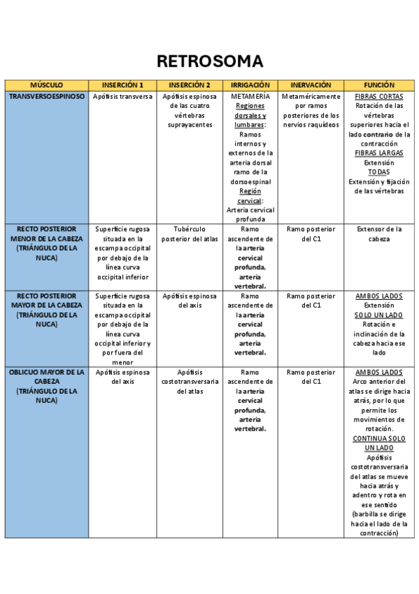 Miniatura del documento RETROSOMA-inserciones-inervacion-irrigacion-funciones.pdf